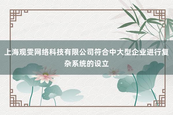 上海观雯网络科技有限公司符合中大型企业进行复杂系统的设立